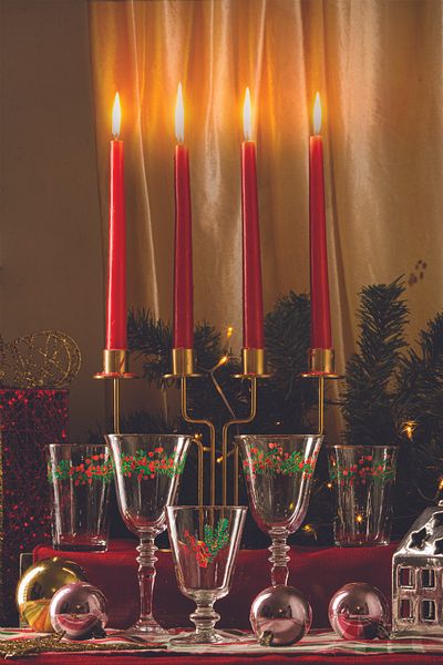 Rakle Winter Kiss - New Year 4-piece Water Glass Set 290 Cc