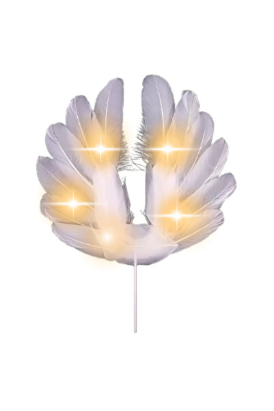 PASTRY PLANET Decorative Feather Wing(Without Light)