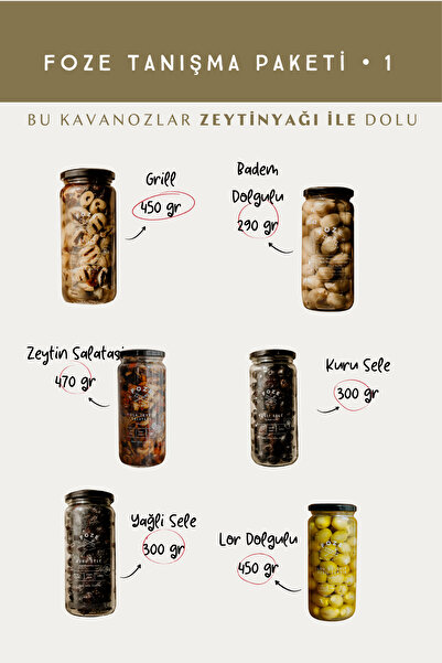 Foze TANIŞMA PAKETİ - 1