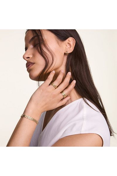 Daniel Wellington Daniel Wellington Link Schmuck Goldenes Armband DW00400988