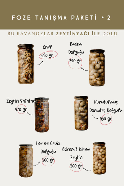 Foze TANIŞMA PAKETİ * 2