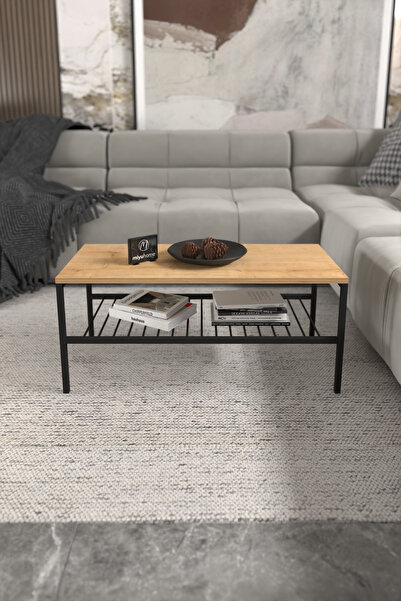 moniev 2 Raflı Metal Orta Sehpa Dekoratif Sehpa Lüx Metal Raflı Sehpa İki Katlı Salon Sehpa