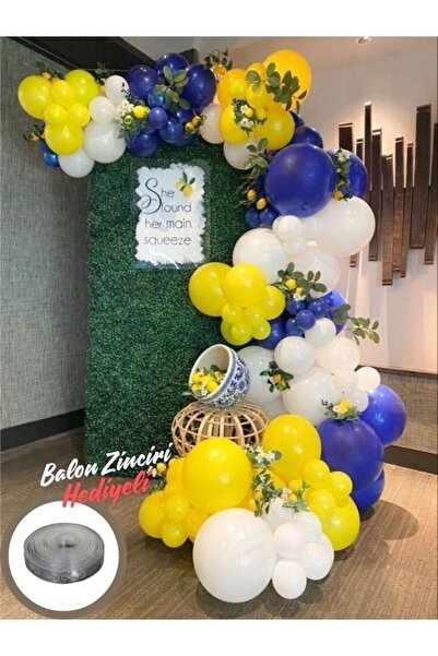 BALON HOME مجموعة حفلات ماكارونس 60 قطعة بلون الباستيل - هدية سلسلة بالون وبالون