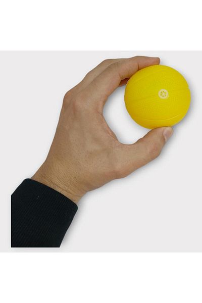 doremodam Dog Toy - Plastic Whistle Ball - Yellow (Lisinya)