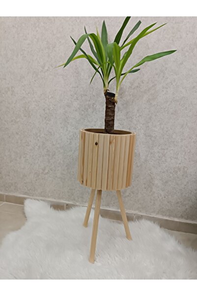 BLACK PEARL Bambu Saksı Hasır Rattan Saksı Ahşap Saksı 46cm Ayak Boyu (24CM V...