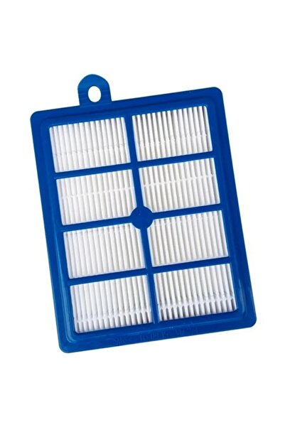 Bremen Home Electrolux EUFC8ALRGY - Filtru Hepa compatibil cu aspiratoare