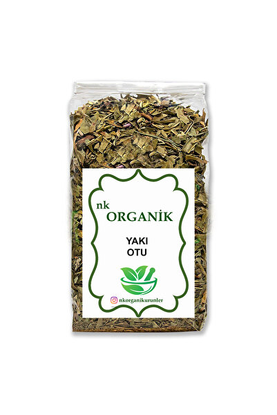nk organik Mugwort Herb New Harvest 75Gr