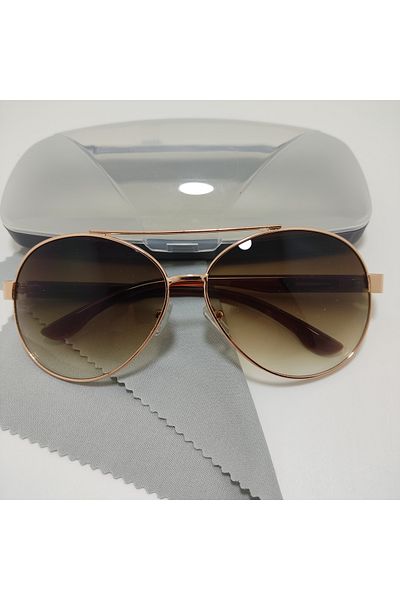 Glare Cleans Sunglasses