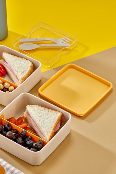 Nefiz Home Practical and Fashionable Lunch Box 2-Tier Compartments with Spoon and Fork Set, Portable Food Storage Container