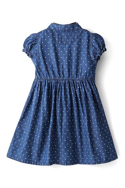 Babyhug Babyhug Short Sleeves Denim Front Open Embroidered Dress - Blue