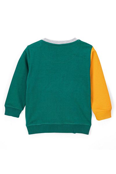 Babyhug Babyhug Cotton Knit Full Sleeves Cut & Sew Sweatshirt With Text Graphics - Green & Yellow