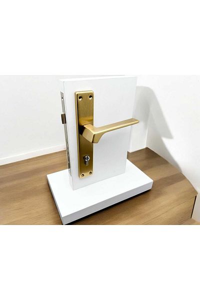 KOLDOOR Zey Matte Gold Square Mirrored Steel Door Handle Right Press One Side Excluded Lock