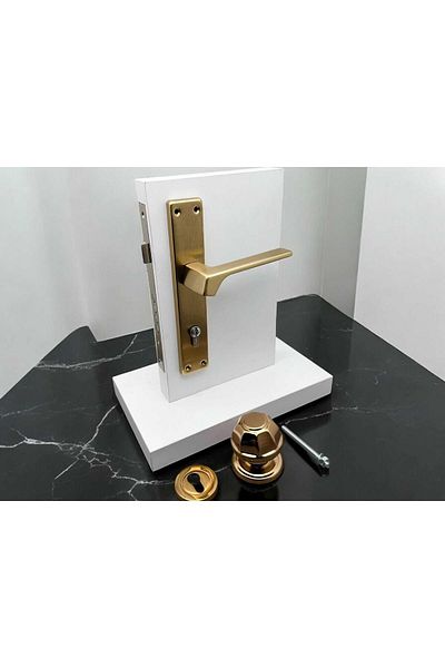 KOLDOOR Zey Matte Gold Steel Door Handle Right Press + Door Knob Exclude Lock