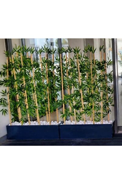 YEŞİLADA Yapay Bambu Ağacı 2 Adet Saksılı 1.5 Metre Boyunda Gri Antrasit Saks...