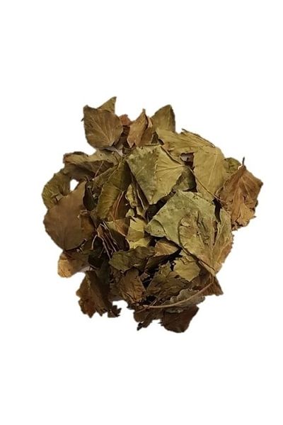 DVD Lokman Aktar Ivy Herb 25 Gr (Hedera Semen) 1 Piece