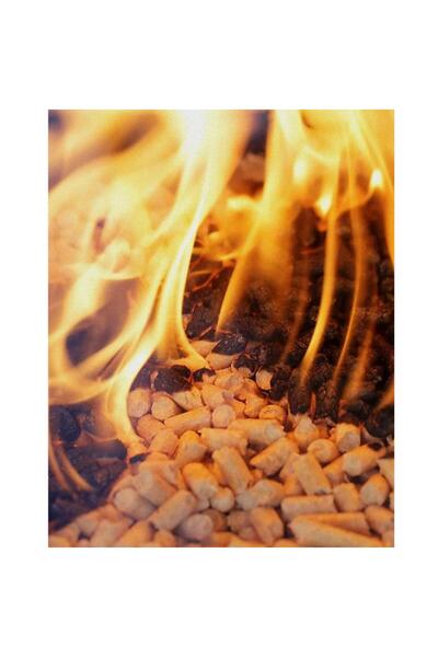 Genel Markalar %100 Doğal Çam Pelet 6 mm / 15 kg