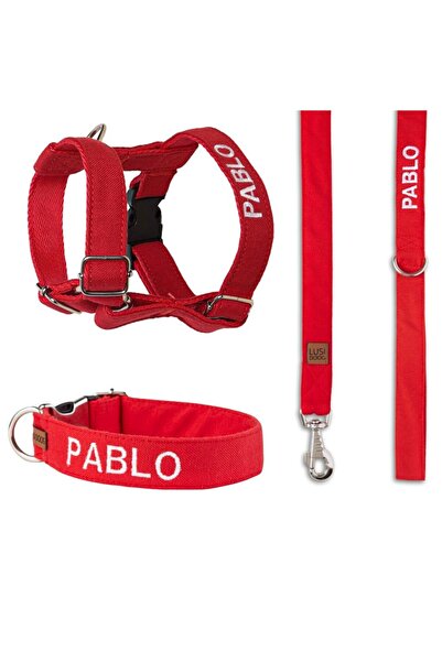 Lusi Doog Güvenlik Amaçlı Numaralı İsimli Tasma Seti Köpek Göğüs Tasması Boyun Tasması Köpek Gezdirme Kayışı