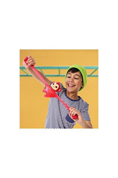 LITTLE LIVE PETS Zoogooz Koala Koomi | Interactive Plush Animal | Squeezable & Fun | Perfect For Kids And Collectors