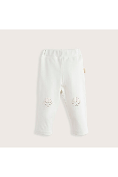 Chakra Wool Lamb Tayt Vanilya