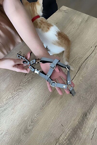 soonaksesuar Cat Harness with Reflective Reflectors in the Dark, Cat Harness with Special Leash - Npc005