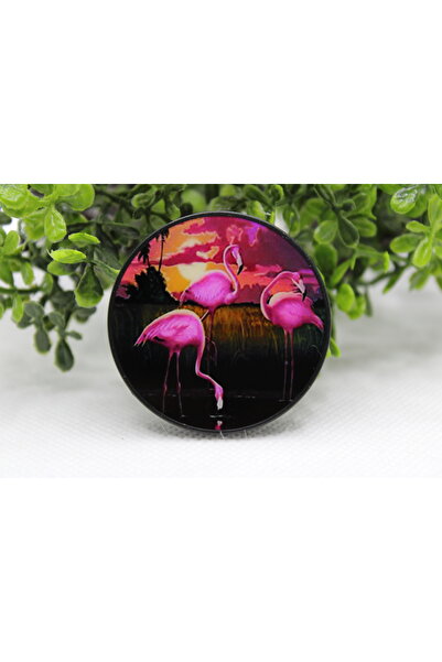 Tezcan Aksesuar Popsocket Telefon Tutacağı Desenli ve Baskılı Parmak Tutucu