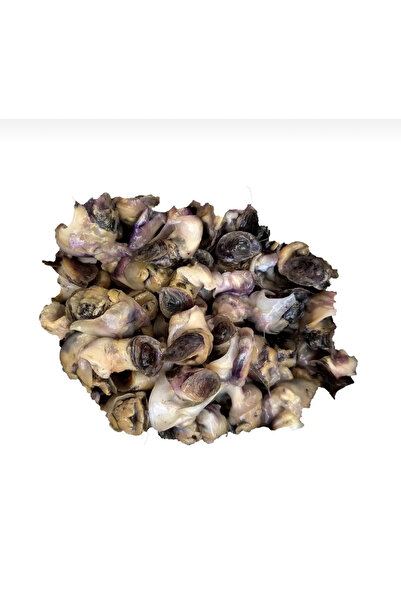 Kaya Av Pastörize Madya 20 Adet