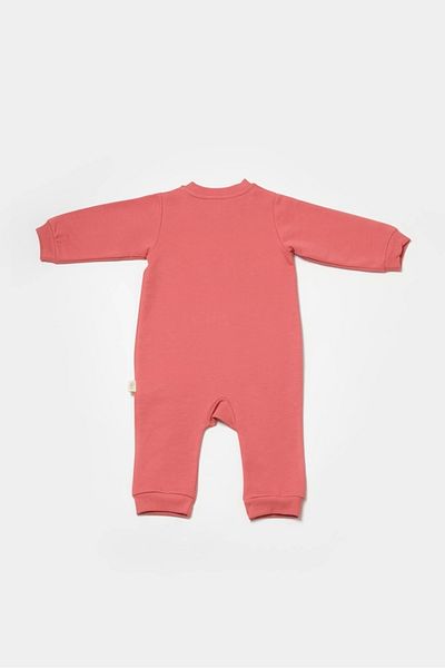 BabyCosy Organic Cotton Baby and Newborn Rompers - Zippered, 100% Series - Csy8030
