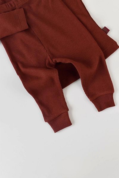 BabyCosy Set pantaloni și tricou cu mânecă lungă și pălărie pentru bebeluși, seria pentru bebeluși și nou-născuți - Csym21501