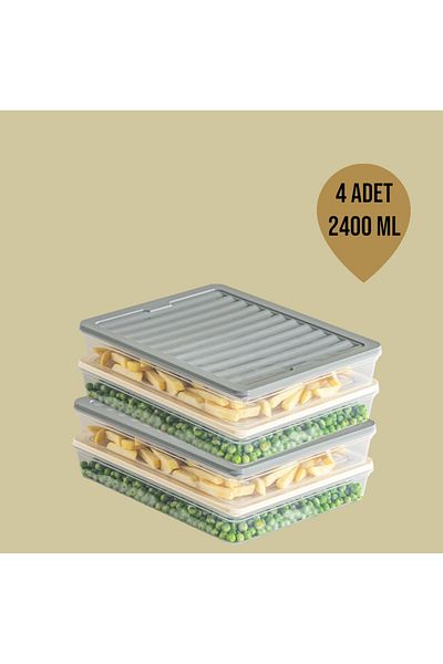 teknotrust 4 Pcs 2400 ml Anthracite Refrigerator - Microwave and Freeze Convenient Storage Container