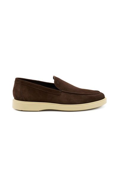 Frau Erkek Oxford (Класик) 20C0 Frau SOFTY Pepecream (КАФЯВ крем)