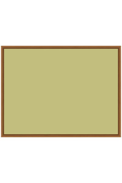 ZERO LAND Adhesive Colored Professional Board (Model -5) 60 cm X 90 cm Ynsmr