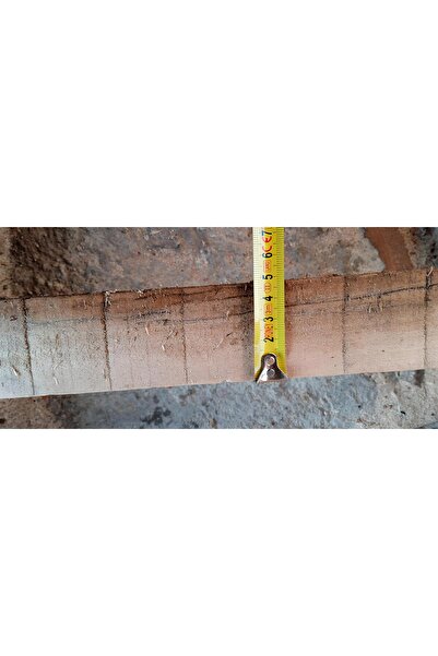 DecoWood / İnşaatlık Kavak Kereste ( 5x10x1 MT )