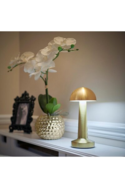 Protonust Dekoratif Metal  Mantar Kablosuz Masa Lambası Ledli Dokunmatik Şarj...