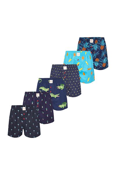 Phil & Co. Berlin Boxer-Drucke