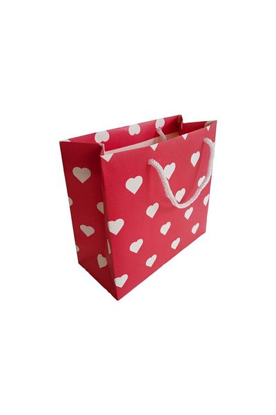 heppack White Kraft Bag with Rope Handle Heart Pattern 18X8X21 cm Gift Bag 25 Pack