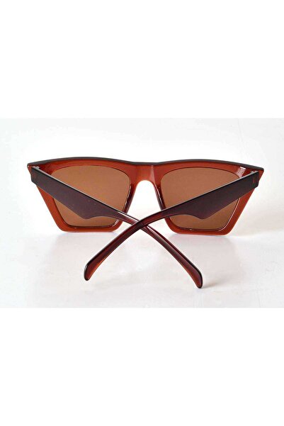 CT STONES Unisex sunglasses with brown transparent frame - fashion glasses
