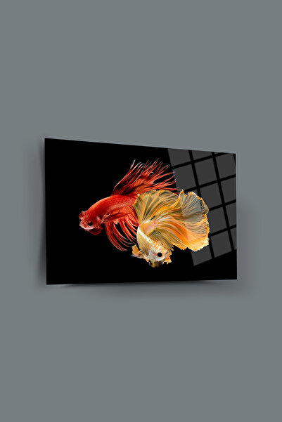 glassartdesign Tablou de sticlă Beta Fish