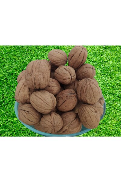 BENGİ TİCARET Ceviz 12222 Ince Kabuk Kolay Kırılır Chandler Kendi Bahçemizden Doğal Üretim 5 Kg