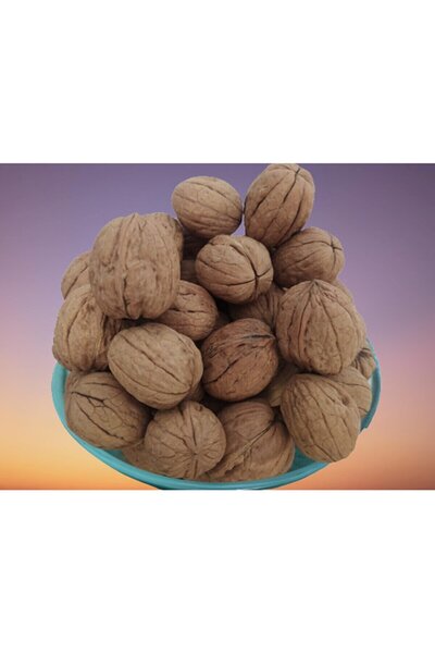 BENGİ TİCARET Ceviz 12222 Ince Kabuk Kolay Kırılır Chandler Kendi Bahçemizden Doğal Üretim 5 Kg