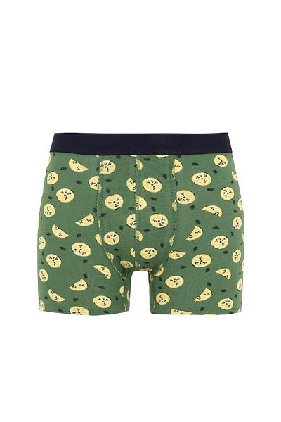 DeFacto Regular Fit 3 Pack Boxers Y3179az23au