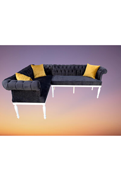 BENGİ TİCARET Köşe 13840 Tk Chester Model Ahşap Kayın Torna ASLAN Ayak Babyfa...