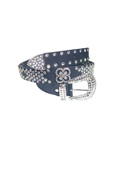 targay Λαμπερή πέτρινη λεπτομέρεια στην πλήρη ζώνη