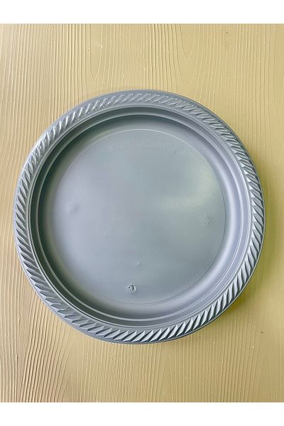 Meyofficial Set of 10 Metallic Gray Plastic Plates
