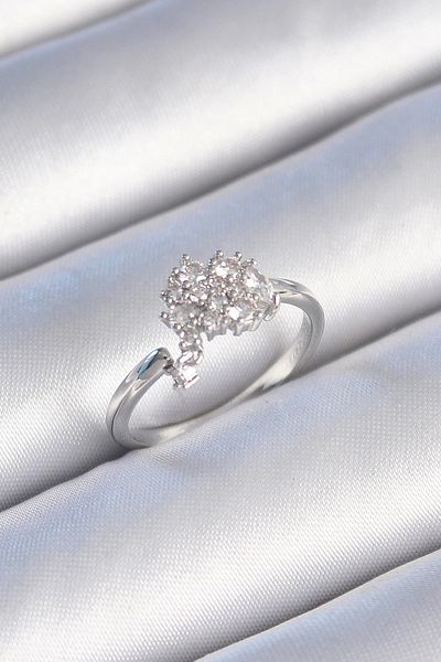 Clariss Brass Silver Color Zircon Stone Women's Ring