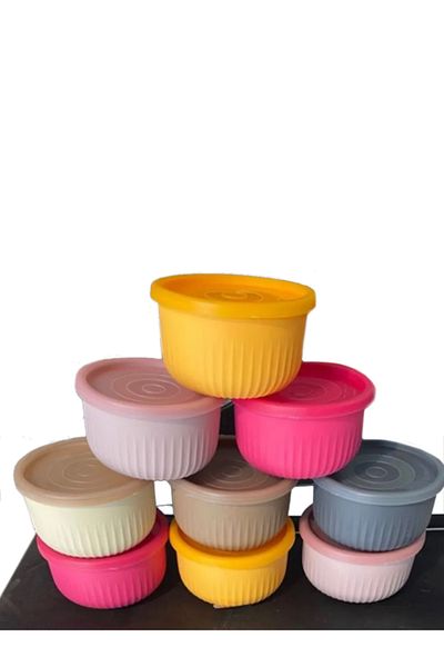 VİP AHMET Vip Ahmet 4-Piece 500ml Fusya Vacuum Storage Set