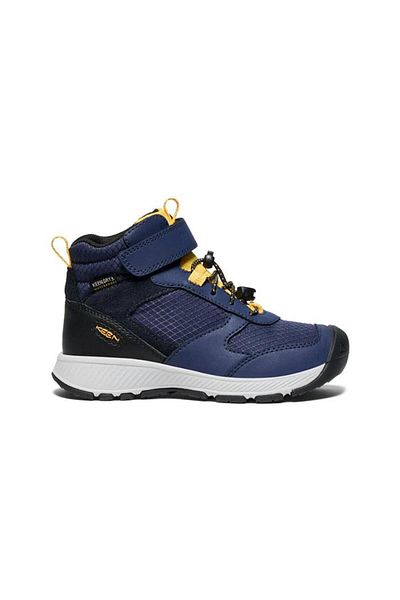 Keen Skua Mid Wp Bot