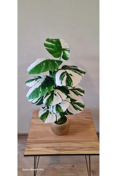 ledison Yapay 16 Yapraklı Beyaz Yeşil Deve Tabanı Saksılı Bitkisi 65 cm
