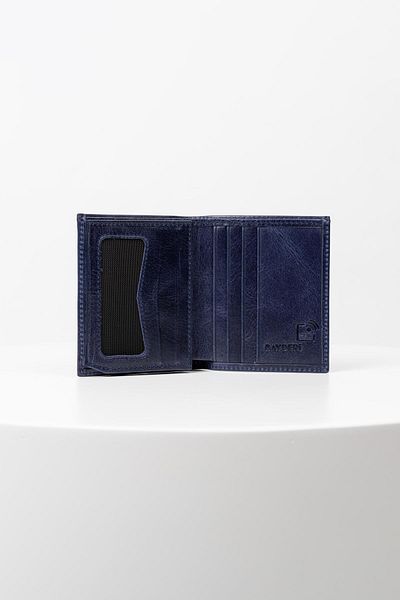 BAYDERİ Lisande Genuine Leather Polite Men's Wallet