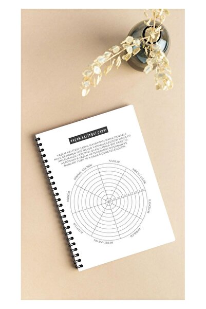 MEDUSAART 30 DAYS MANİFEST & CHALLANGE PLANNER - Günlük A5 40 Sayfa Defter