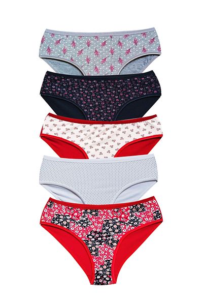 Easy Tedarik Cotton Wide Brim Lycra Patterned Bato Women's Panties 5 Pack Set 1